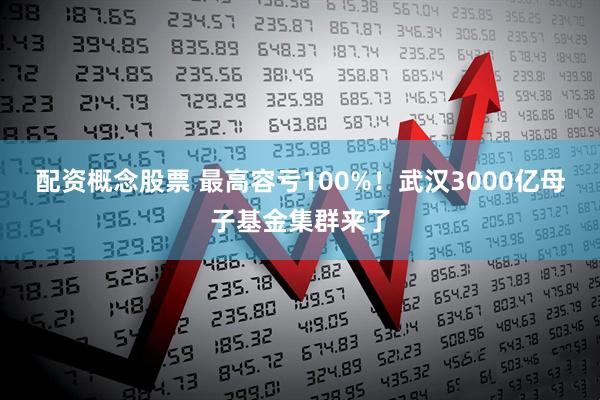 配资概念股票 最高容亏100%！武汉3000亿母子基金集群来了