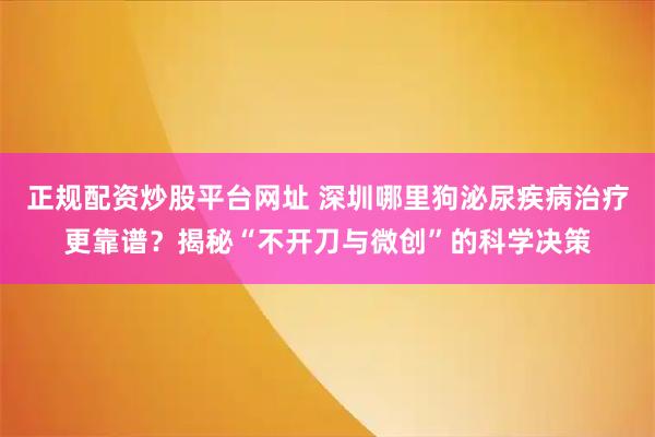 正规配资炒股平台网址 深圳哪里狗泌尿疾病治疗更靠谱?揭秘“不开刀与微创”的科学决策